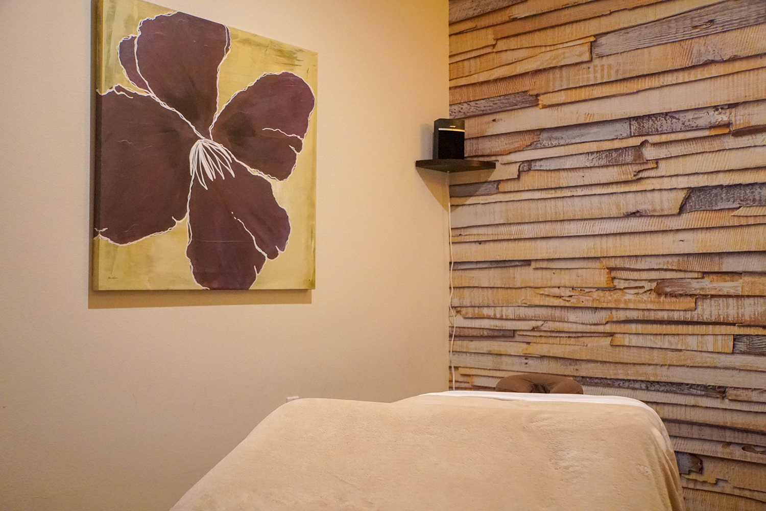 Backbone Wellness Center Room Backbone Wellness Center